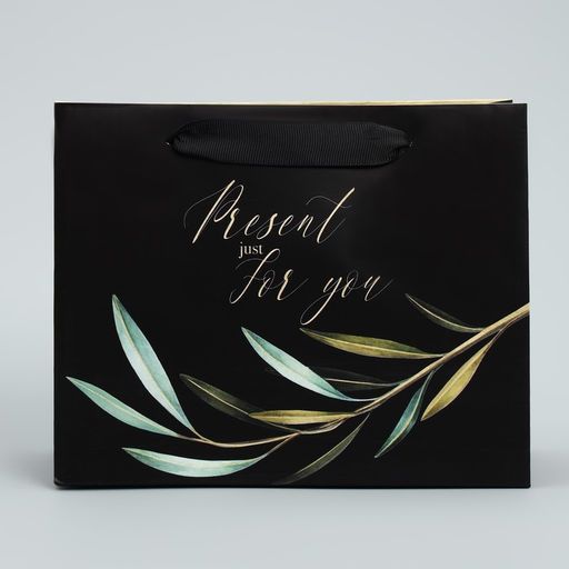 Цена за 2 шт. Пакет подарочный ламинированный, упаковка, «Present just for you», 22 х 17.5 х 8 см