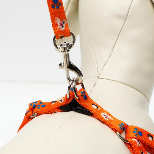 Комплект амуниции Собачки, поводок 120 х 1 см, ОГ 27-42 см, оранжевый - Пижон фото 4