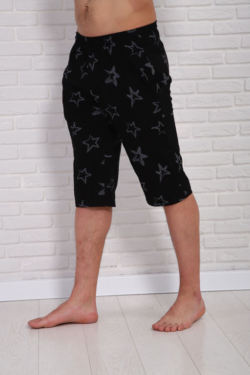 Шорты мужские 310