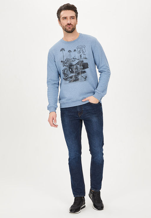 Свитшот мужской GREG G121-California (гол.джин.м)  фото 3