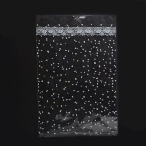 Цена за 100 шт. Пакет прозрачный 2,5 микр 20х30 / T-1233 /уп 100/10000/ - Галеонтрейд фото 2