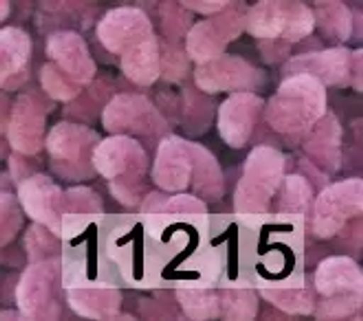 DOLPHIN LOOP HIMALAYA  фото 12