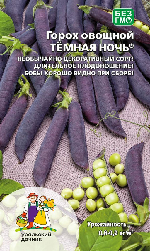 Горох ТЁМНАЯ НОЧЬ Необычайно декоративный сорт! Длительное плодоношение! Бобы хорошо видны при сборе!