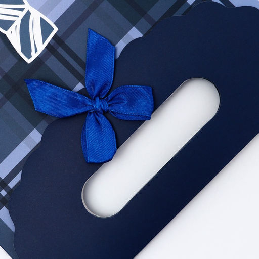 Цена за 5 шт. Подарочная коробка - пакет, упаковка с вырубной ручкой, «Мужской галстук», 19×9×27 см