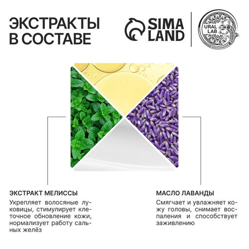 Шампунь для волос с маслом лаванды и экстрактом мелиссы, густые и сильные, 300 мл, ECO LAB by URAL LAB