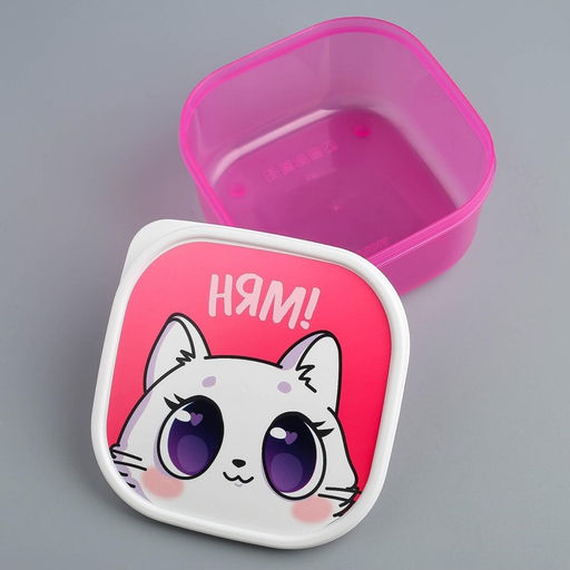 Цена за 2 шт. Ланч - бокс квадратный «Котик», 700 мл