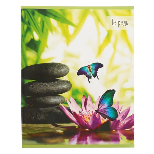 Набор тетрадей 36 листов в клетку, Calligrata «Бабочки», серые листы, 5 штук