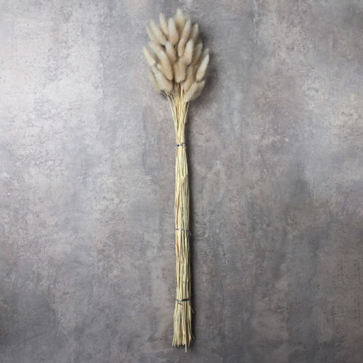 Сухоцвет 60 штук набор 68 см Лагурус / SG-010 /уп 300/бежевый - Галеонтрейд фото 2