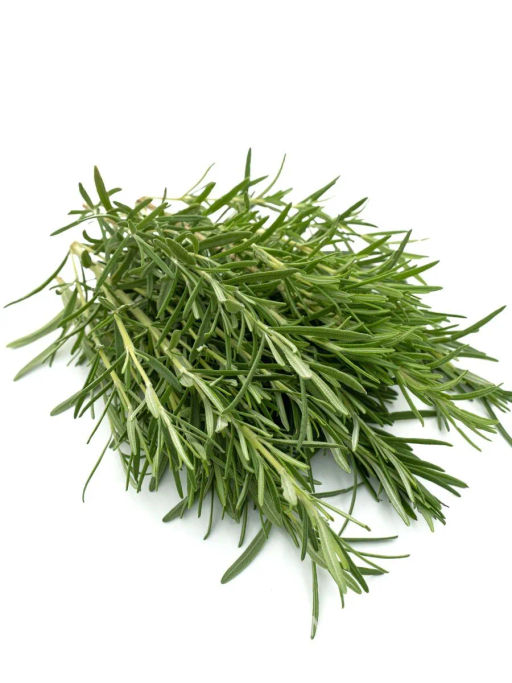 Розмарин Нежность - Партнер фото 2