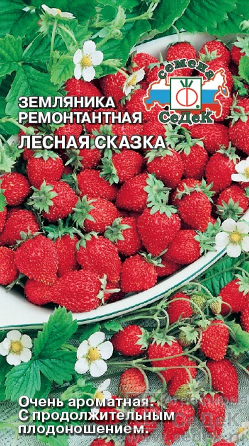 Земляника ремонтантная Лесная сказка 0,04г (СеДеК)
