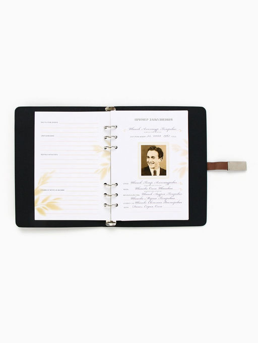 Родословная книга со встроенной флешкой 16 Gb «Наше фамильное дерево», 17.5×23 см