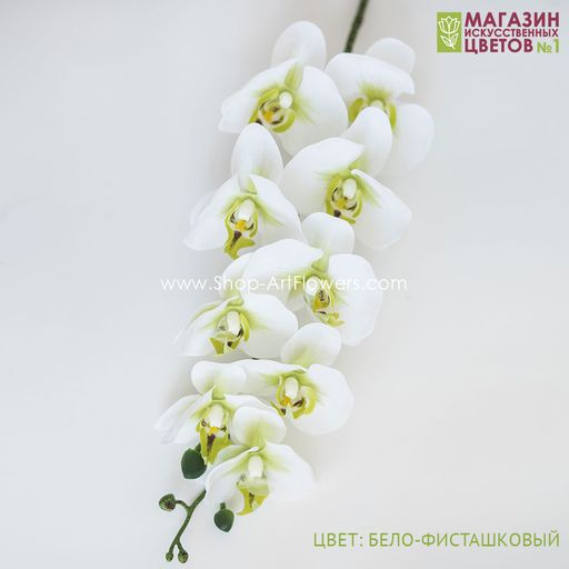 004 Орхидея фаленопсис "Жозель" (9 цветков)