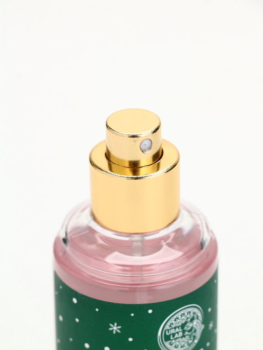 Подарочный набор новогодний Снеговичок, гель для душа 100 мл и мист для тела, URAL LAB