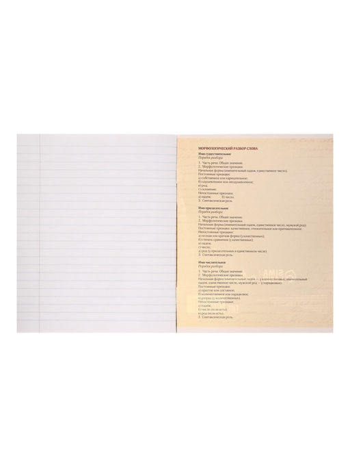 Тетрадь предметная Комикс Аниме 48 листов в линейку Русский язык, со справочным материалом, обложка мелованный картон, УФ-лак (полный), блок офсет - Calligrata фото 10