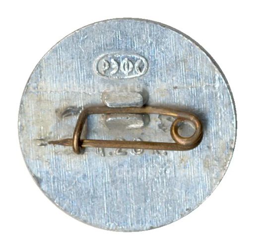 Значок Ростов  на  Дону