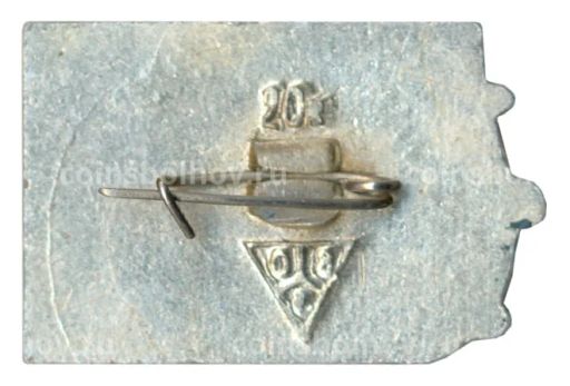 Значок Владимир