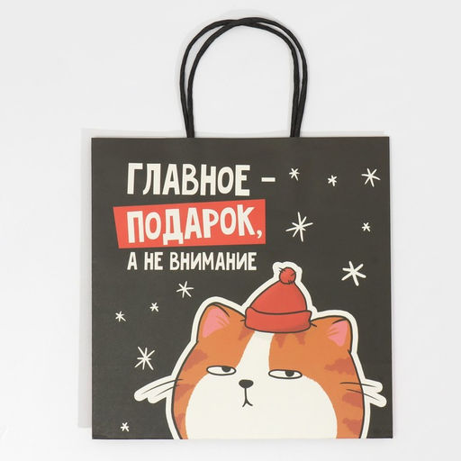 Цена за 2 шт. Пакет подарочный новогодний «Счастье», 22×22×11 см