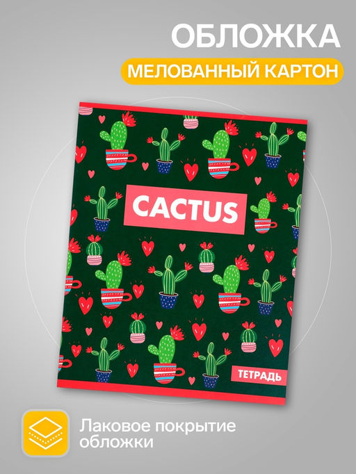 Набор тетрадей 36 листов в клетку, Calligrata «Кактус», 5 штук