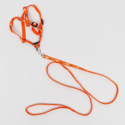 Комплект амуниции Собачки, поводок 120 х 1 см, ОГ 27-42 см, оранжевый - Пижон фото 5