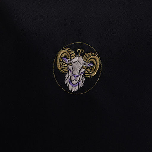 RXL-620-1 Рюкзак с обвесом - Grizzly фото 17