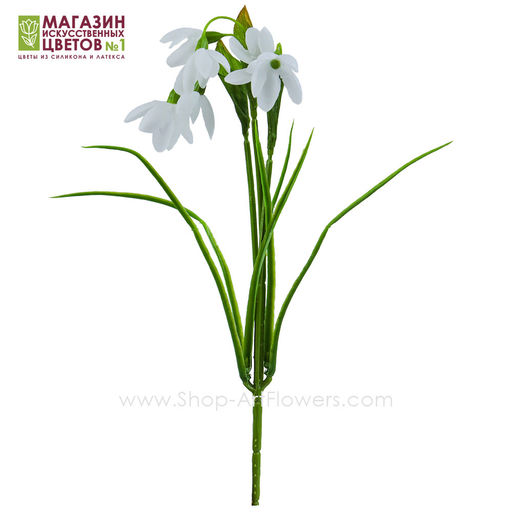 Подснежник