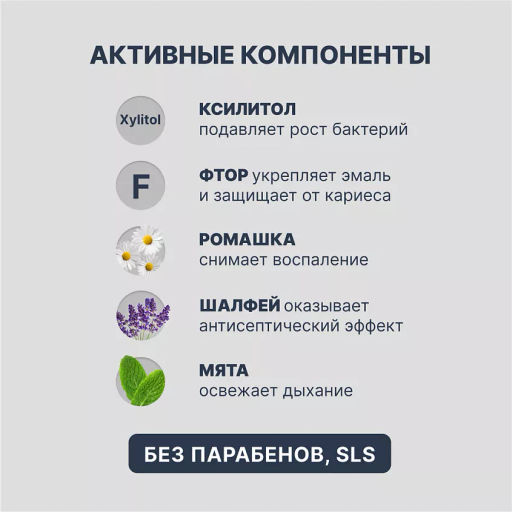 PresiDENT Паста зубная д/ежедневного ухода Classic (75 RDA) 75г