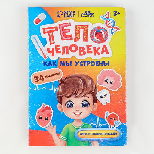 Обучающий набор Тело человека, рамка-вкладка и книга с наклейками - Лесная мастерская фото 14
