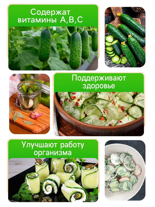 Цена за 5 шт. Семена Огурец "Пальчик", 0.5 г