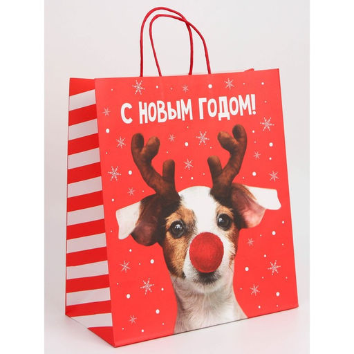 Набор пакетов новогодних крафтовых 5 штук «С Новым годом тебя!», 21 × 12 × 9 см