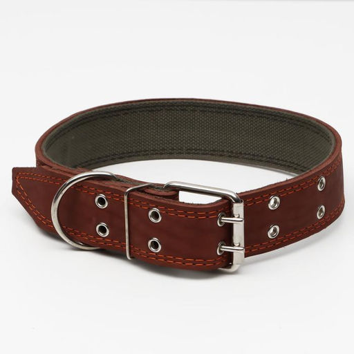 Ошейник комбинированный кожа/брезент, 83 х 4.5 см, ОШ 50-70 см, коричневый - Пижон фото 2