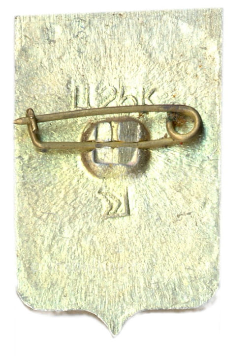 Значок Житомир