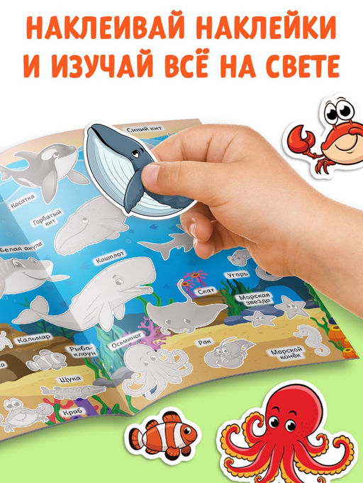 Наклейки многоразовые набор Познавательные, 10 шт., формат А4 - Буква-ленд фото 10