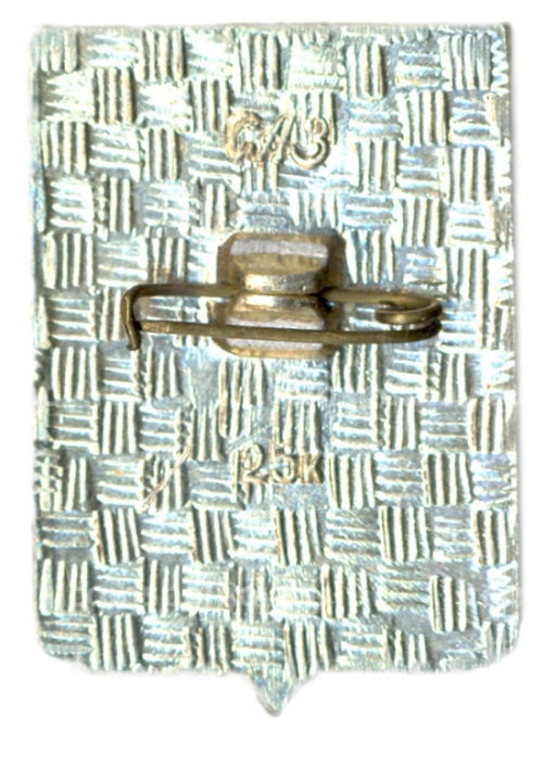 Значок Рославль