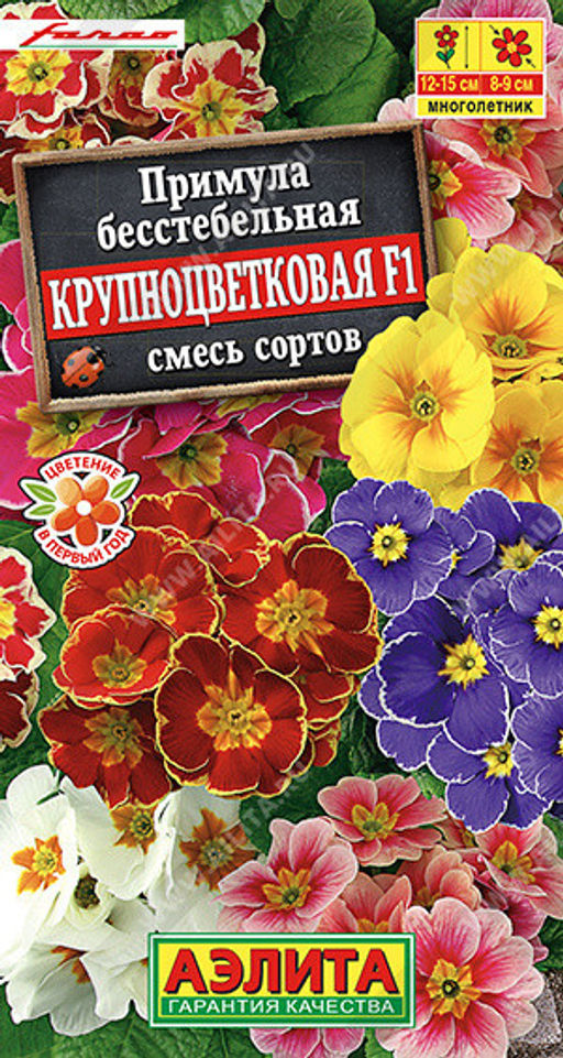 1770A Примула Крупноцветковая F1, смесь сортов 7шт
