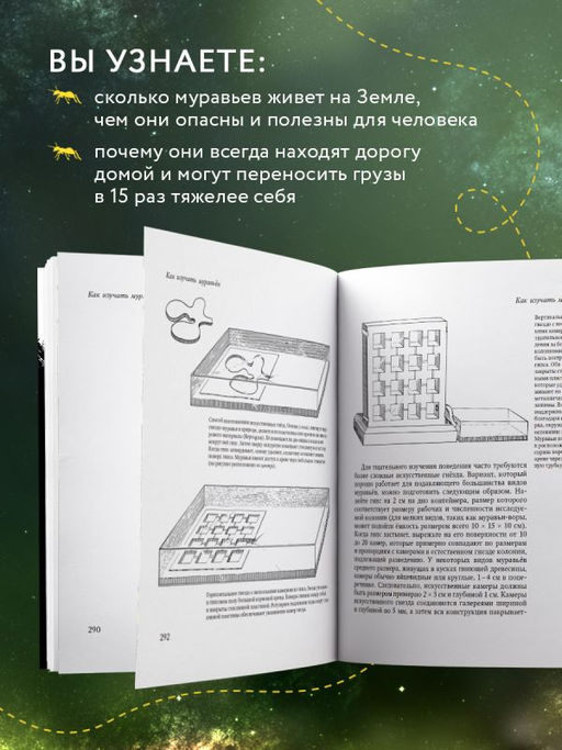 Путешествие к муравьям