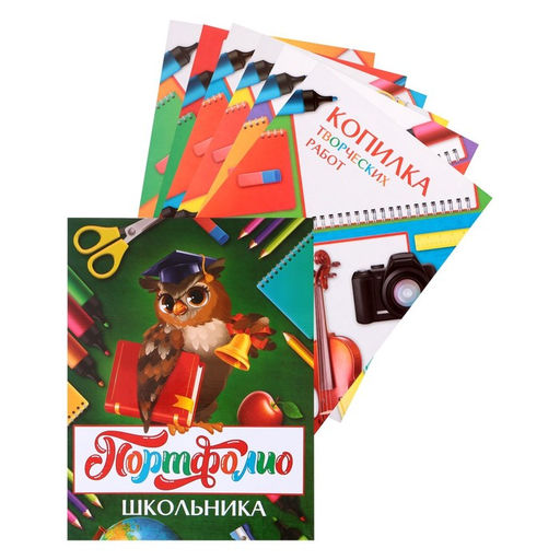 Папка школьная на кольцах «Портфолио школьника», 6 листов-разделителей, 24.5×32 см