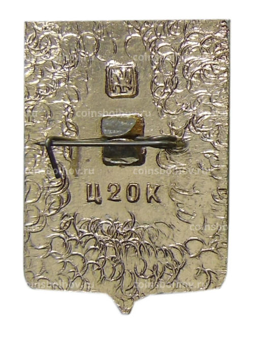 Значок Инсар