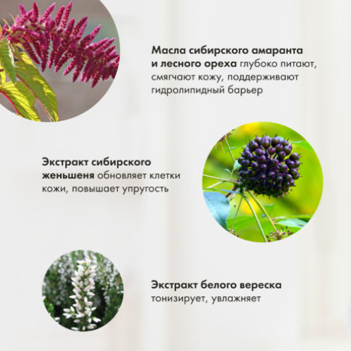 Гель-масло для душа Восстанавливающее, 500 мл РБА / Сибирская травница / - Рецепты бабушки агафьи фото 6