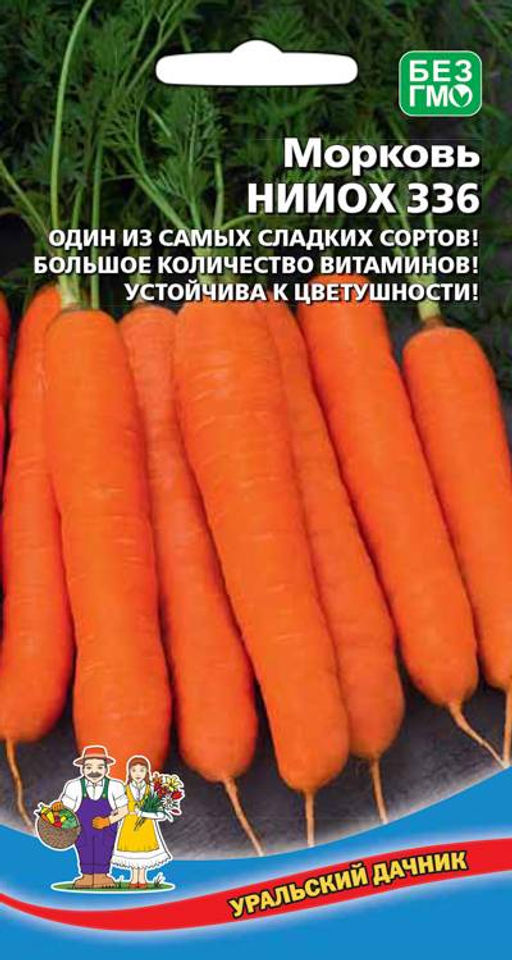 Морковь НИИОХ-336 Один из самых сладких сортов! Высокое содержание витаминов! Устойчива к цветушности!