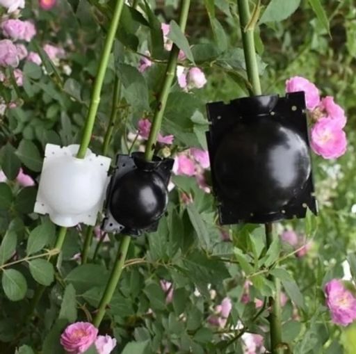 Шар для укоренения растений Grafting Ball