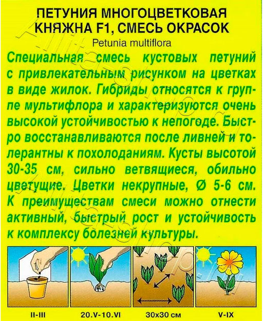 Петуния Княжна F1 многоцветковая, смесь сортов 7шт. (Аэлита)