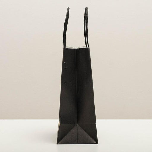 Пакет подарочный новогодний крафтовый «Еловая веточка», 12 х 21 х 9 см