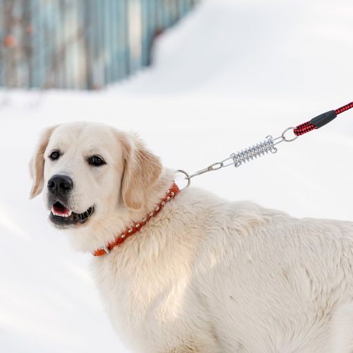 Поводок усиленный с амортизатором от рывка, 120 х 1,2 см, чёрно-красный - Пижон фото 6