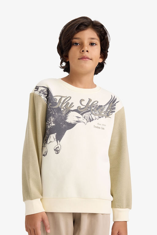 Bisiklet Yaka Bask_l_ __i Yumu_ak T_yl_ Sweatshirt Erkek _ocuk - Defacto фото 3