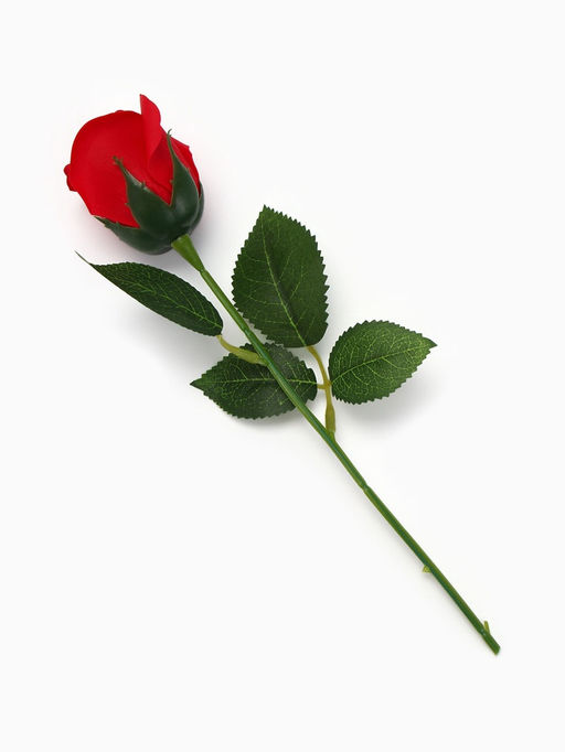 Мыльная роза красная в коробке - SB BEAUTY фото 4