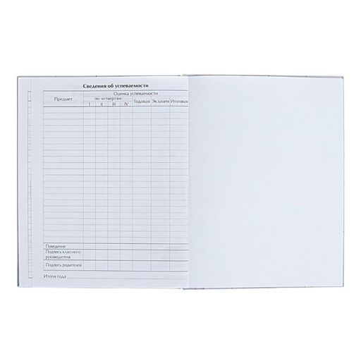 Дневник школьный для 1-11 классов «Аниме. Парень и небо», твёрдая обложка, глянцевая ламинация, 40 листов