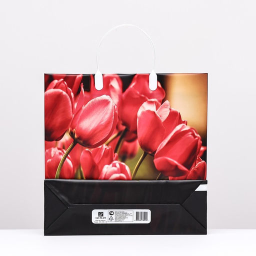 Цена за 10 шт. Пакет «Тюльпаны», мягкий пластик, 30×30 см, 120 мкм