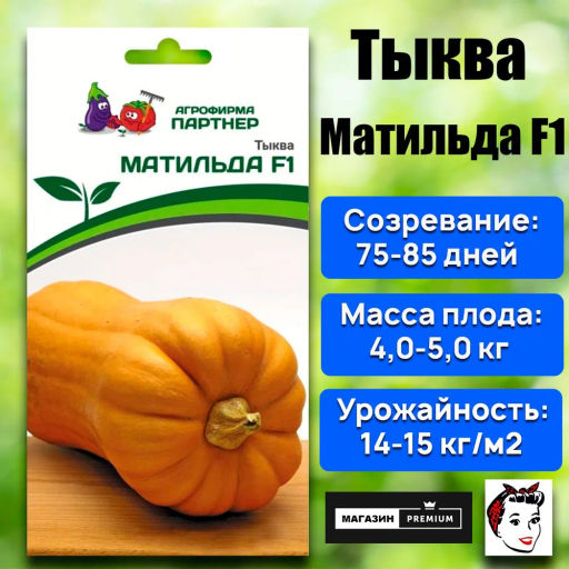 Тыква Матильда - Партнер фото 7