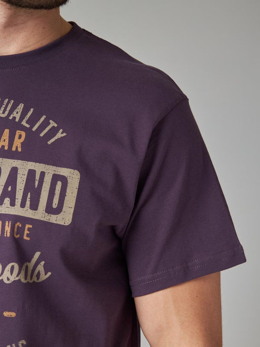 Футболка мужская арт. 02285/Brand - F5 фото 6