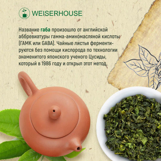 Живой чай / Габа зеленая (живой чай), 1 уп. * 200 гр. - Weiserhouse фото 5